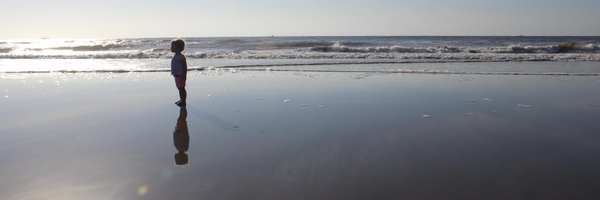 mistersender Profile Banner