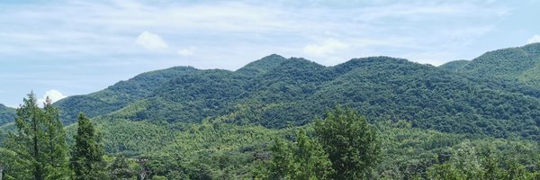 zhiwei90611615 Profile Banner