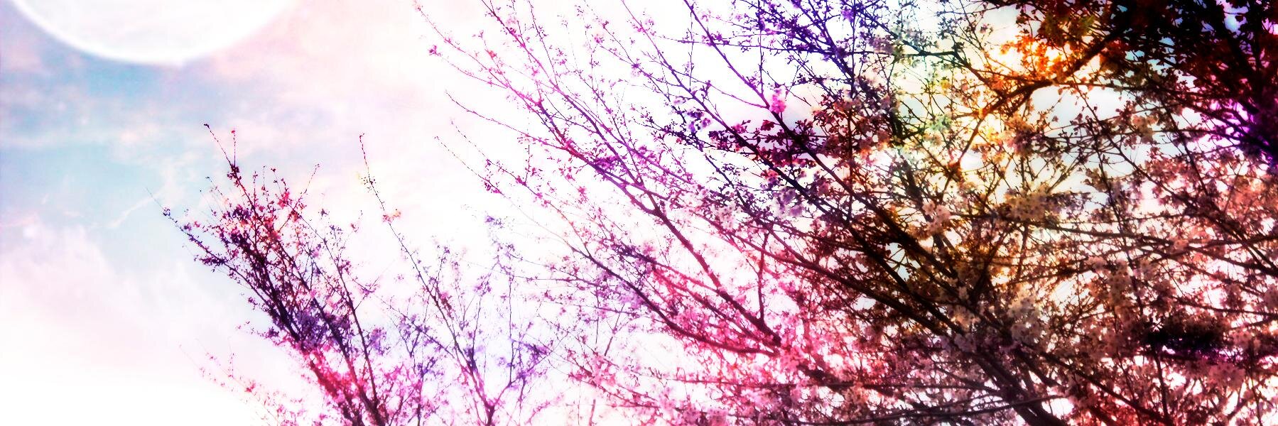 ryou banner