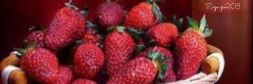 صقرالجنوب banner