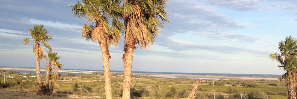 jaribuhorns's profile banner image