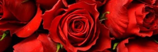 iDany_Solis's profile banner image