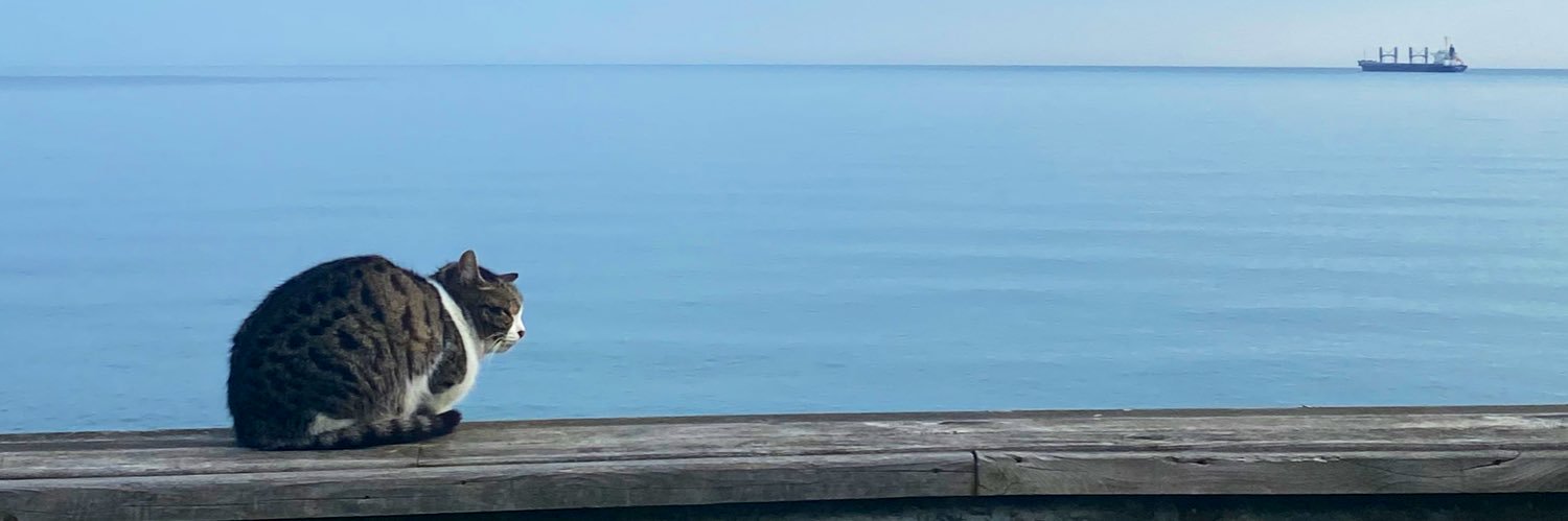 leslemgull's profile banner image