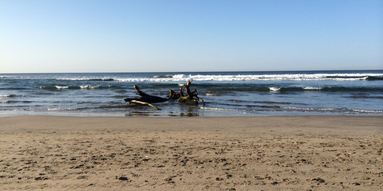 Arturo Moreno banner