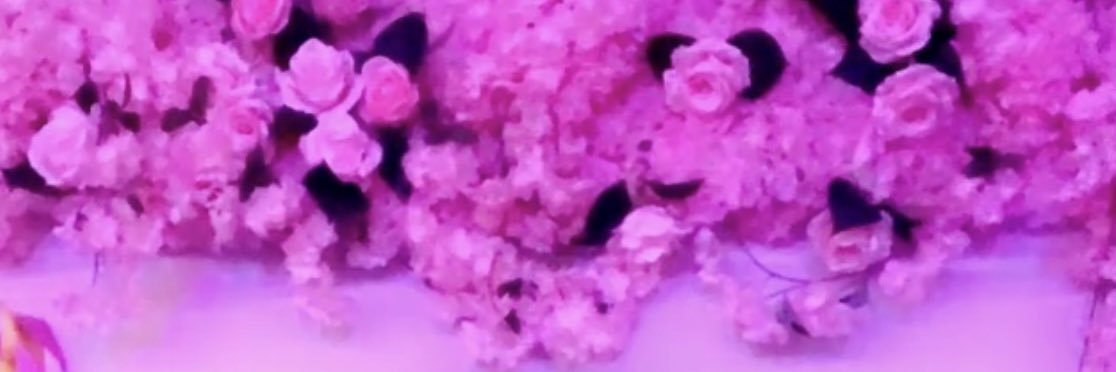 isthatJDEE's profile banner image