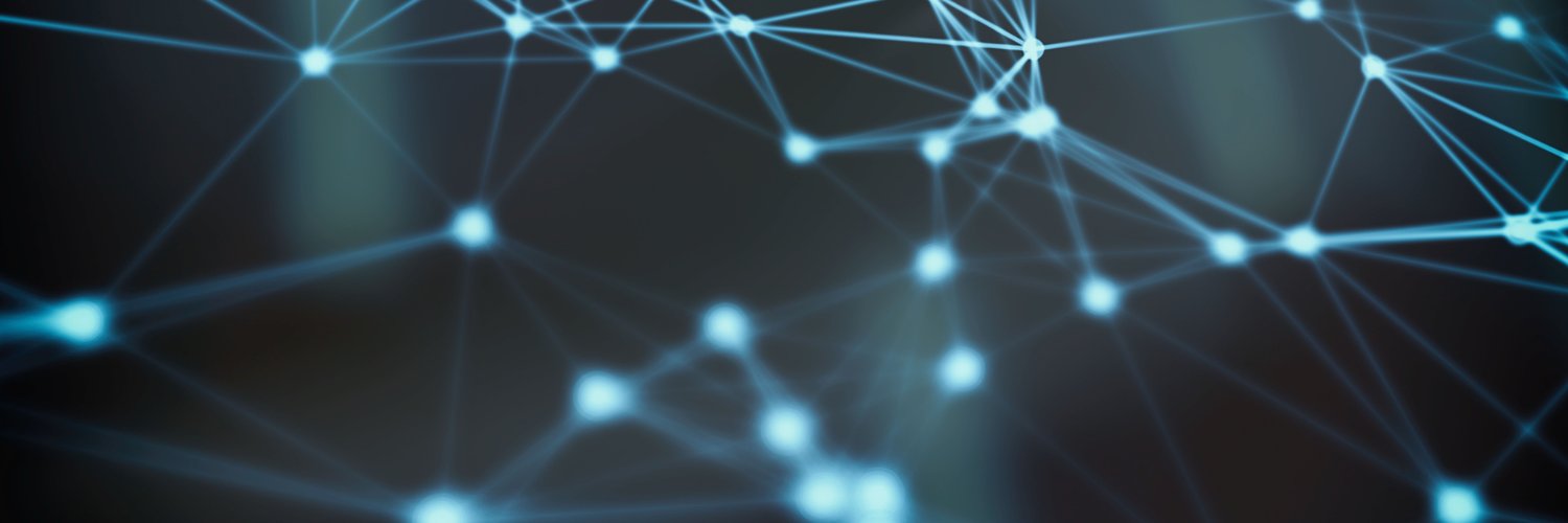CryptoBunny⚫️ banner