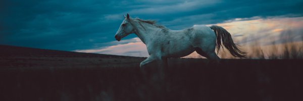 sagacity Profile Banner