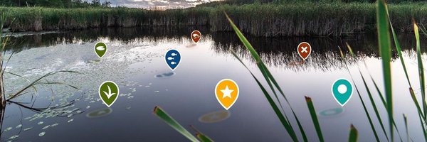 fishbrainapp Profile Banner