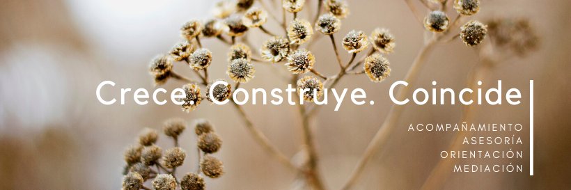 Coincidir_'s profile banner image