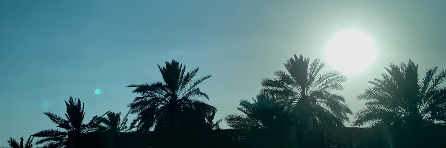sav_f7's profile banner image