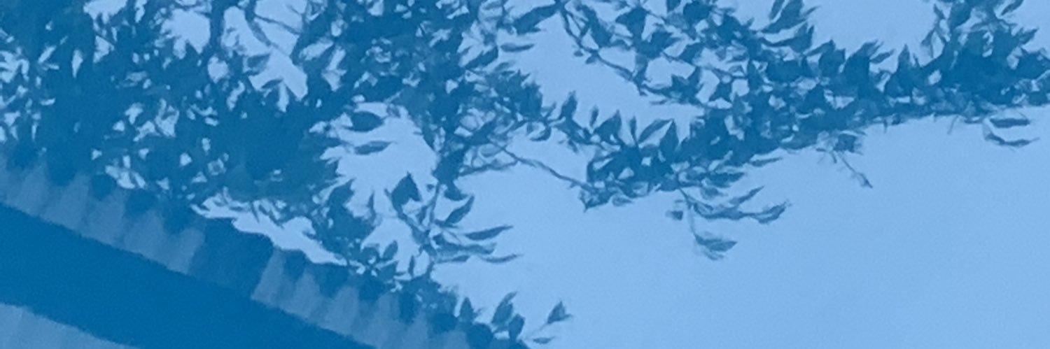 MarikoSuwa's profile banner image