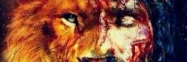 VivianeBertoli3 Profile Banner