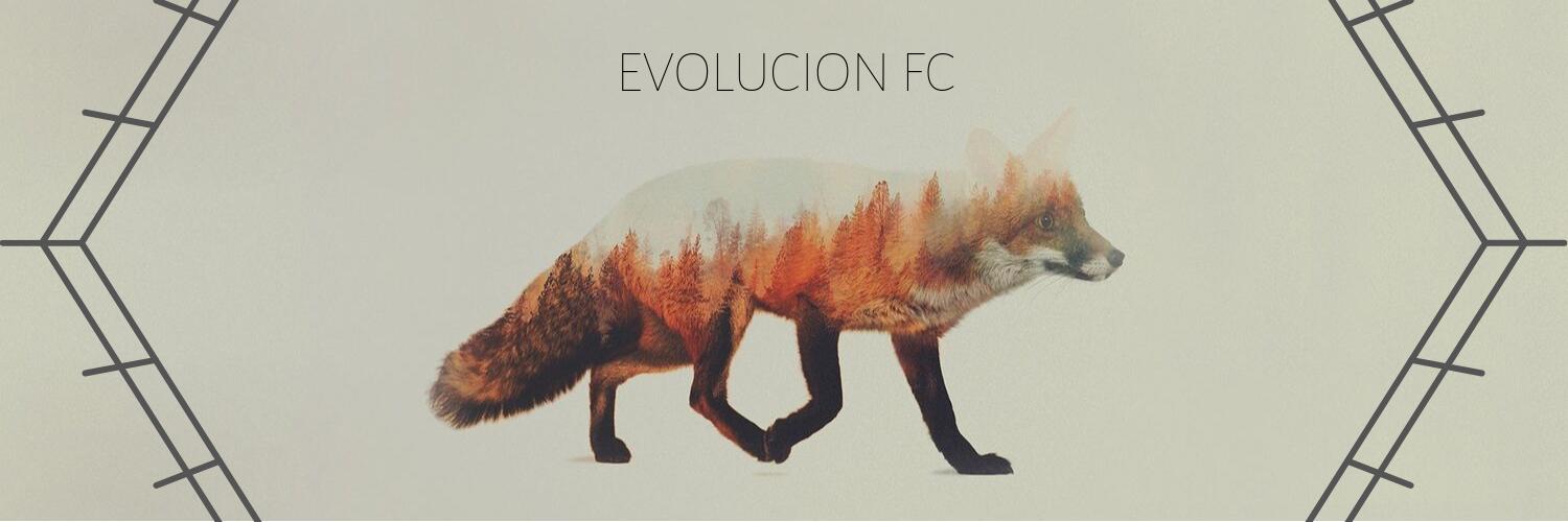 Evolucion banner