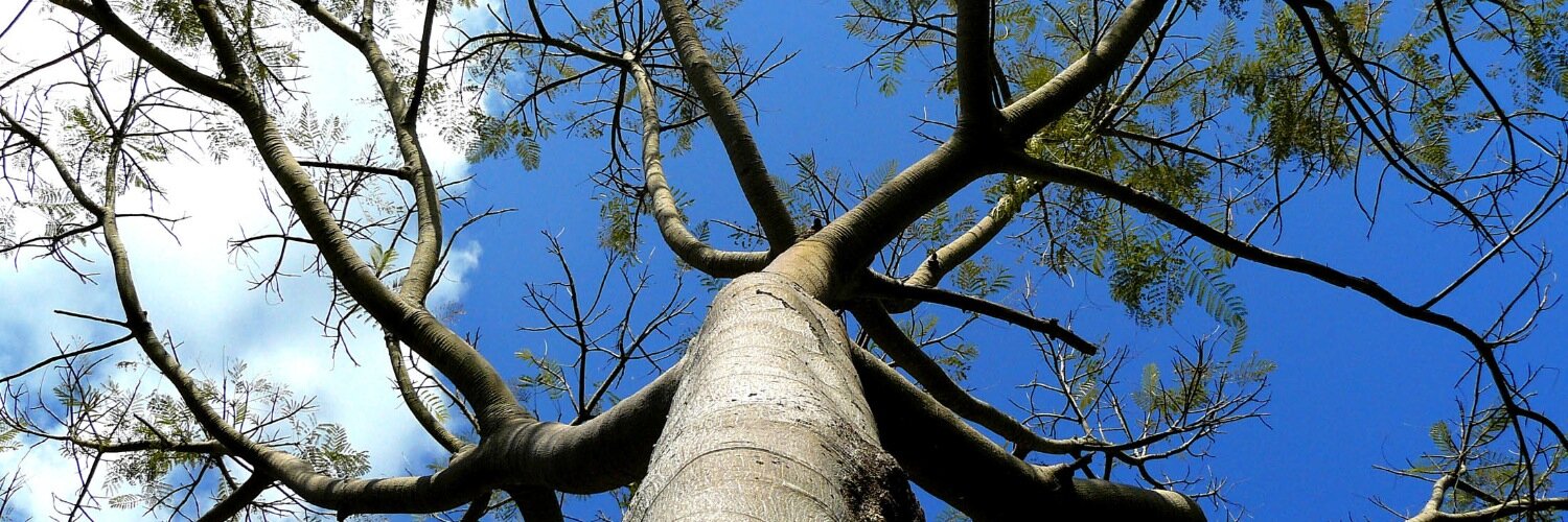 Andreas Schliep 🇺🇦 banner