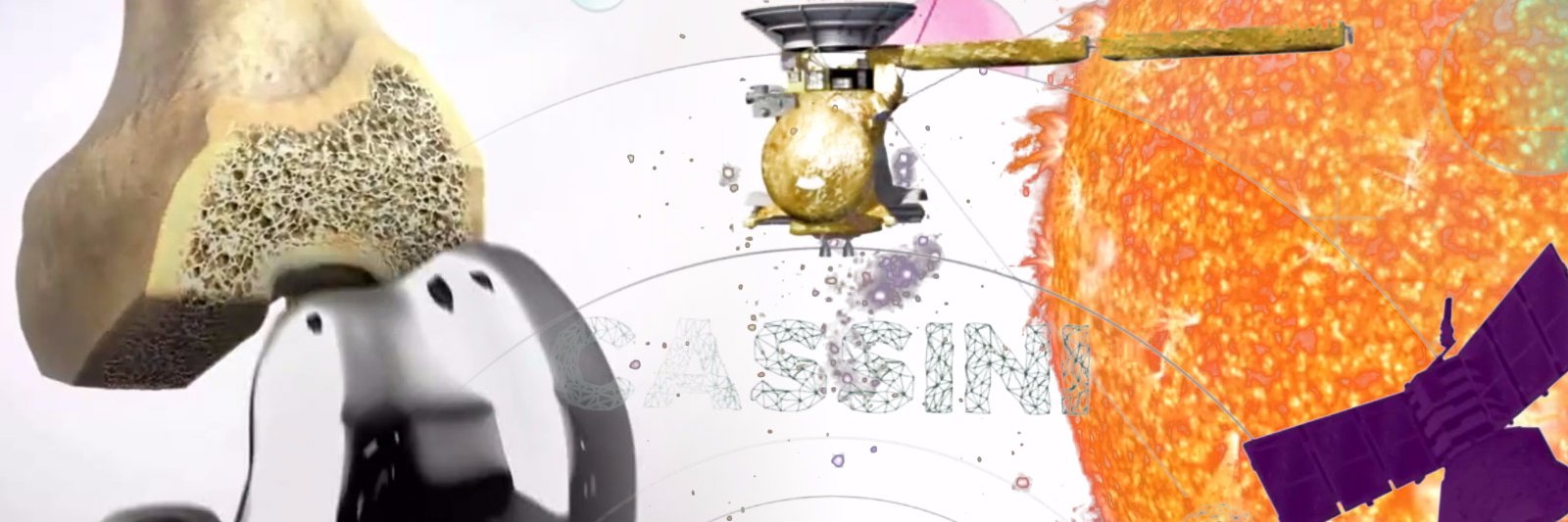 BioChromatic's profile banner image