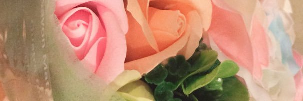 ailuz55's profile banner image