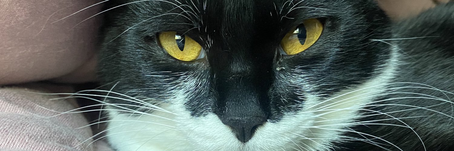 jufferfila_'s profile banner image