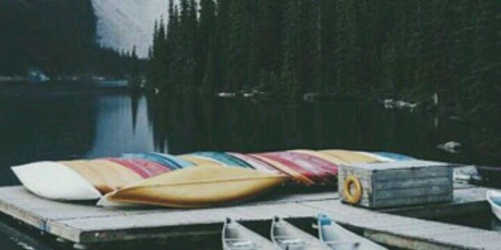 mafernanda96's profile banner image
