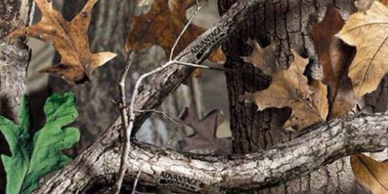 KyleLardinois's profile banner image