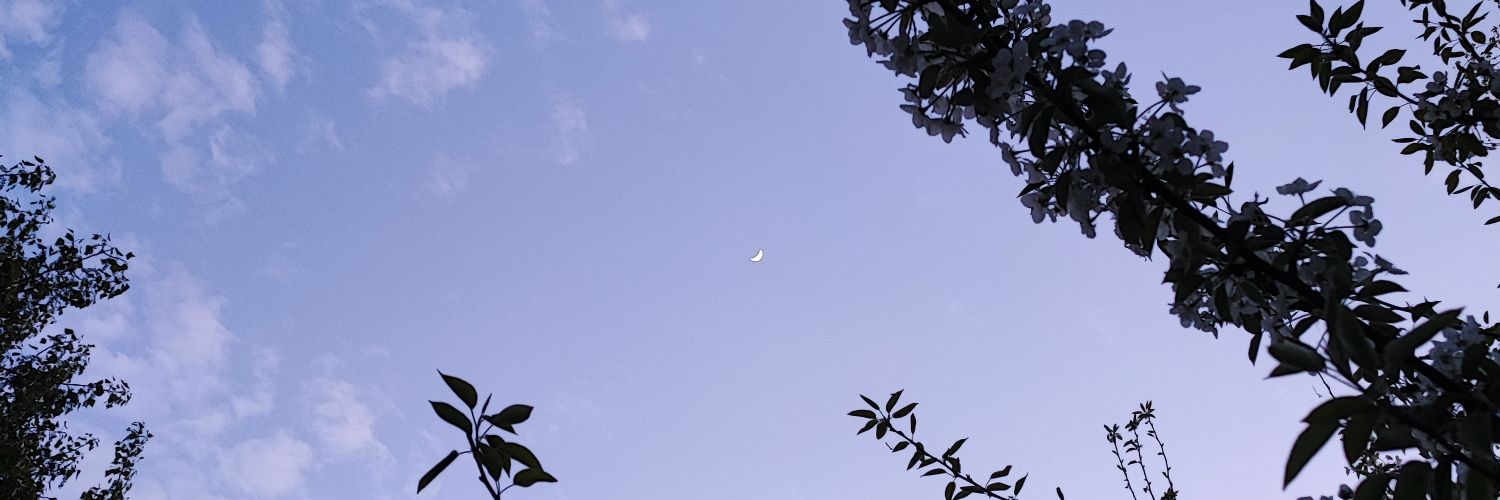 heisenero's profile banner image