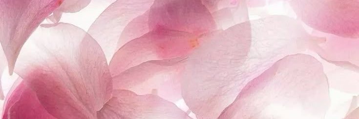 pilarrodb's profile banner image