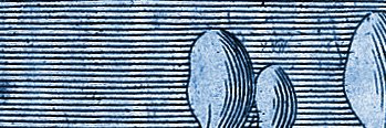 altcoinistry's profile banner image