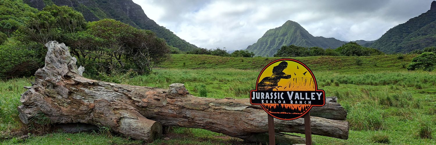 Lyndon Suvanto banner