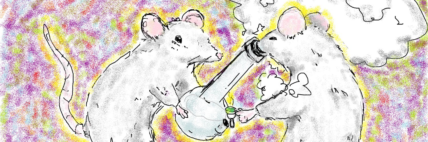 Brisingr_Phoenix banner