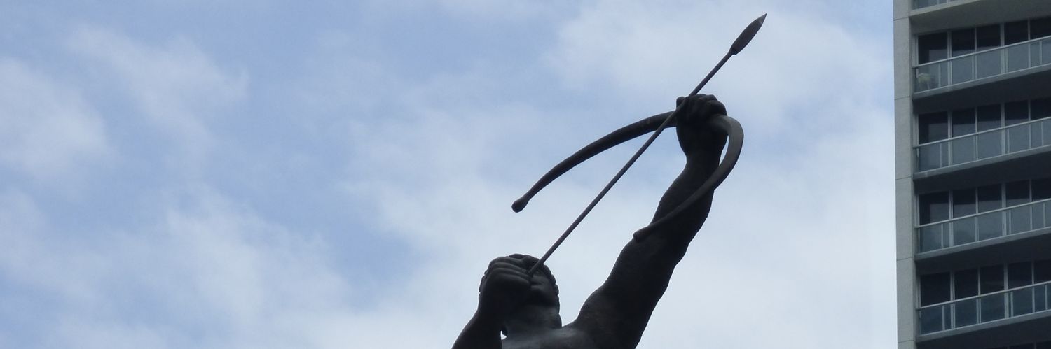 CalipoTsetse's profile banner image