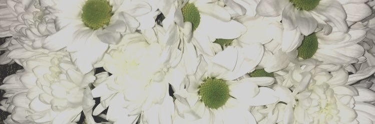 h1183_'s profile banner image