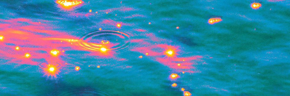 look_for_fish's profile banner image