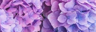 Jitominooks's profile banner image