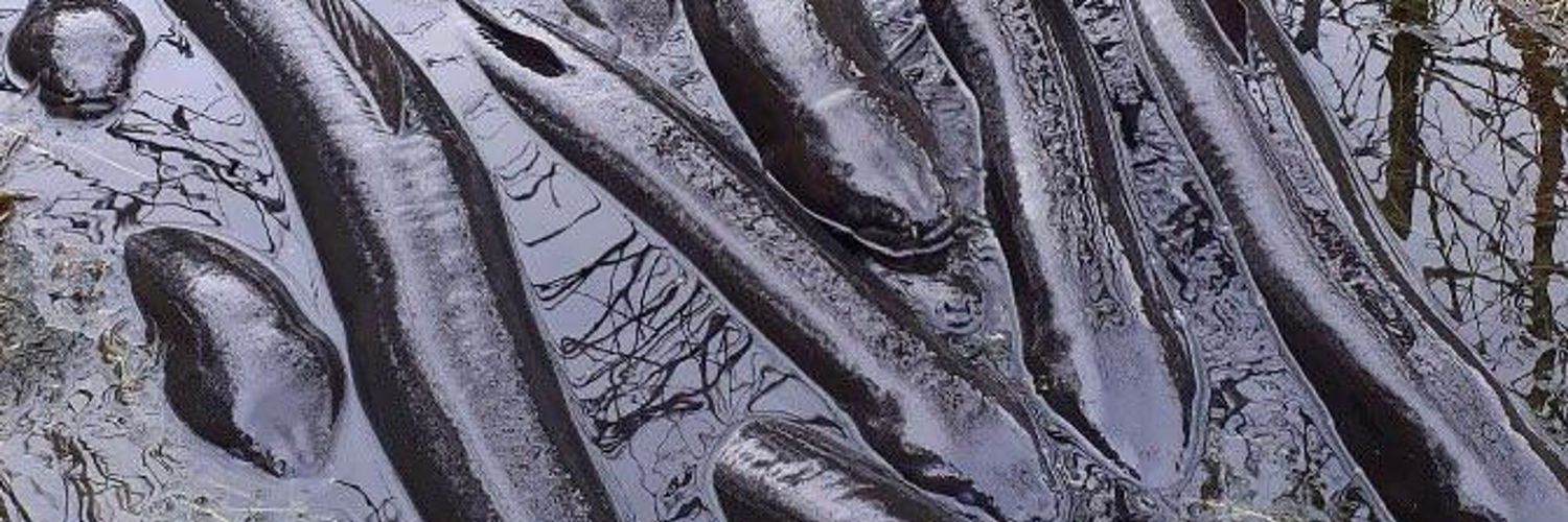 You Won't Get Hurt If You Don't Fall banner