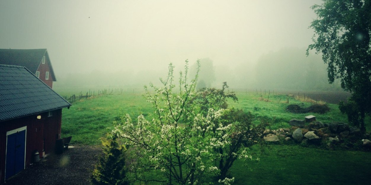 Micke Andersson banner