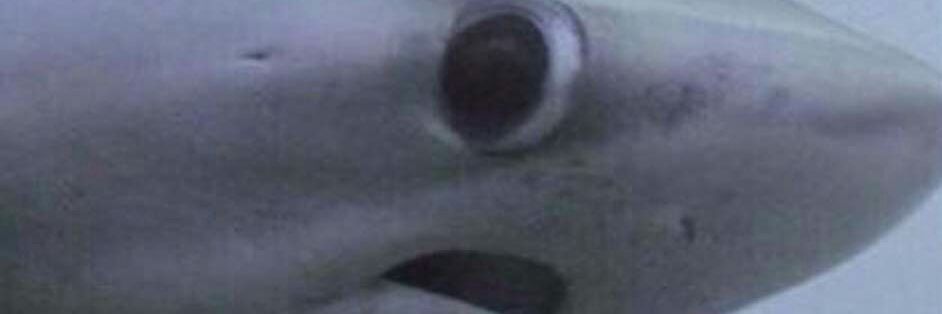 Freaking_psycho's profile banner image