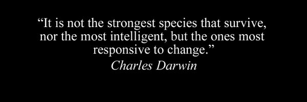 c2webdev Profile Banner