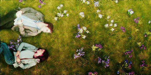 TwilightOFC's profile banner image