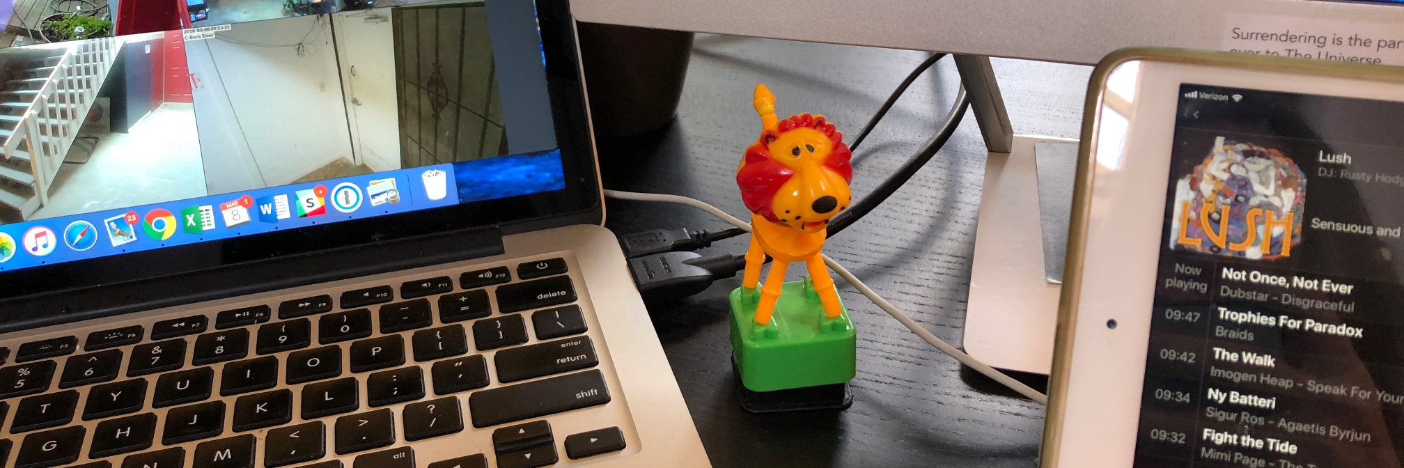 Katharine Chestnut banner