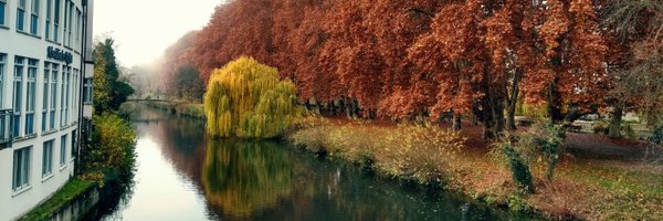 transposlav Profile Banner