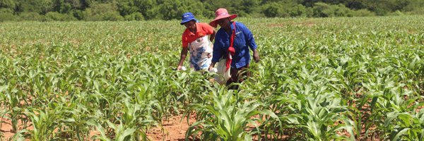 EWADE_SD Profile Banner