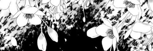 𝒮𝒮 banner