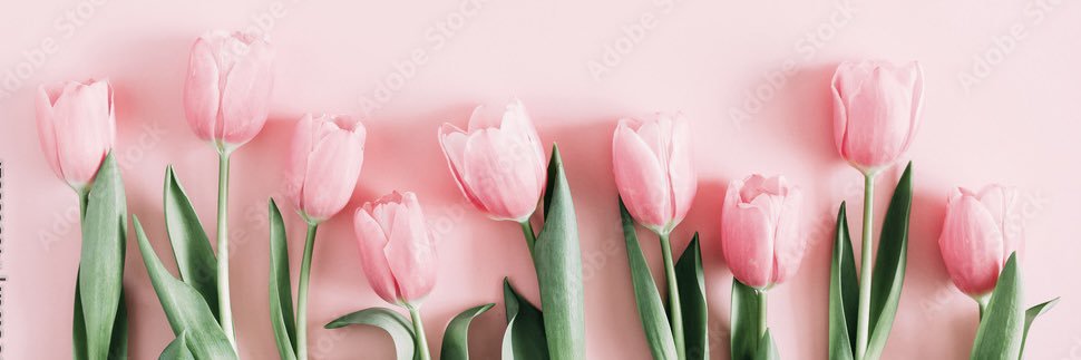sarahtrg's profile banner image