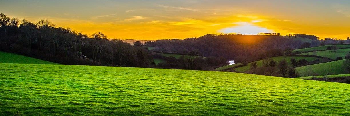 BroadleighFarm's profile banner image