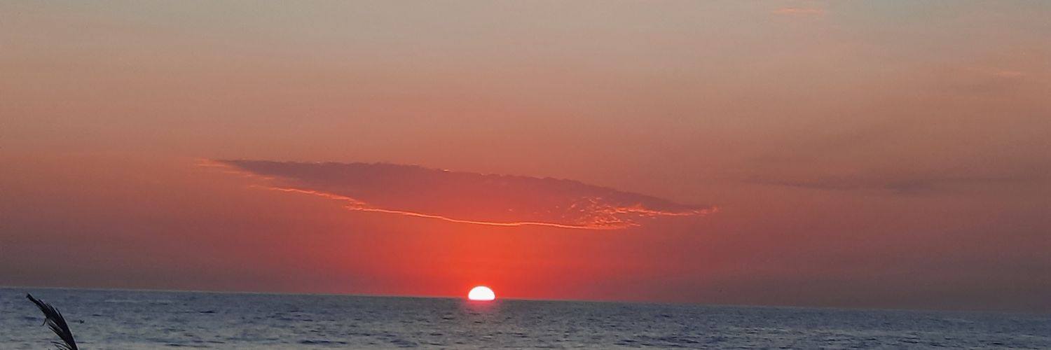 RMejia84's profile banner image