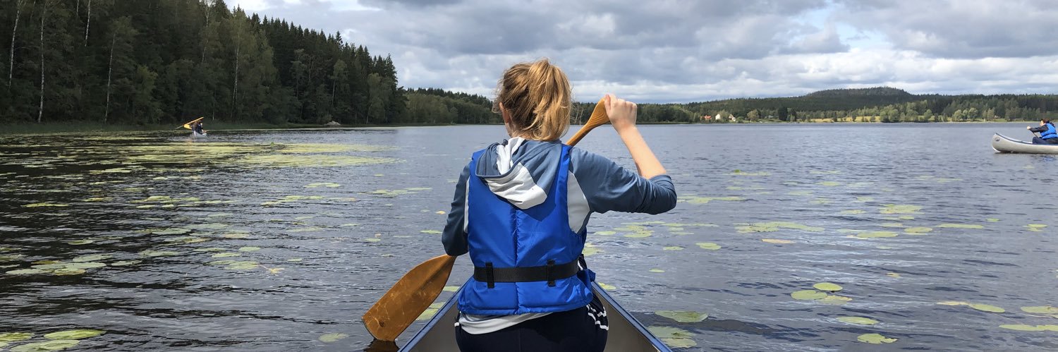 Karen Mitchell banner