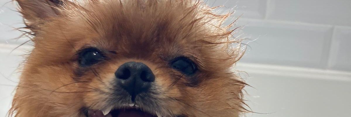Kwacker10's profile banner image