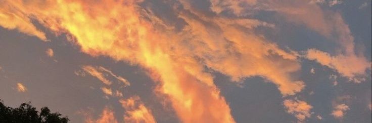 Sofiangodd's profile banner image