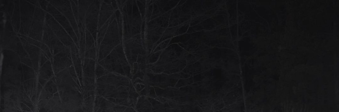 ：） banner