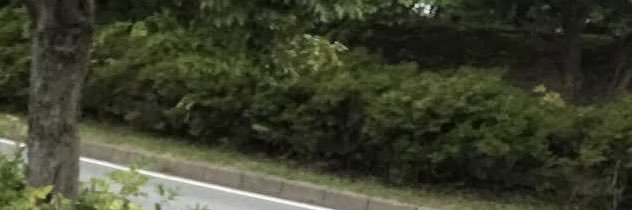 K banner