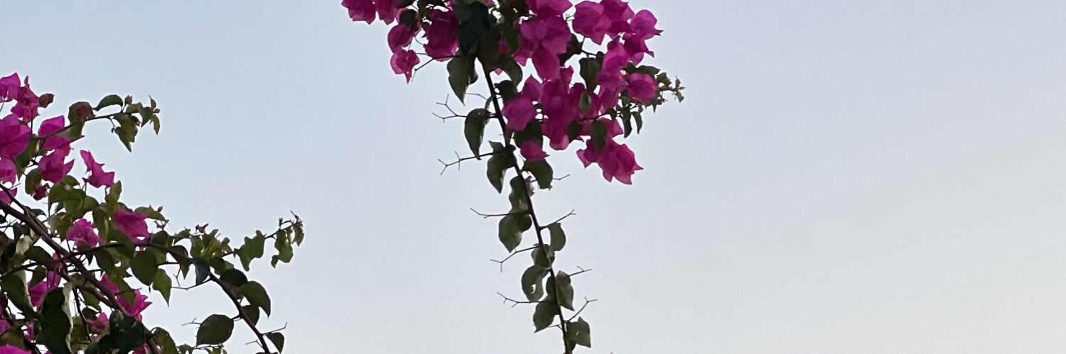 rs_rooh's profile banner image